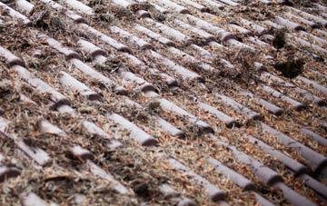 Hall Bower roof cleaning companies